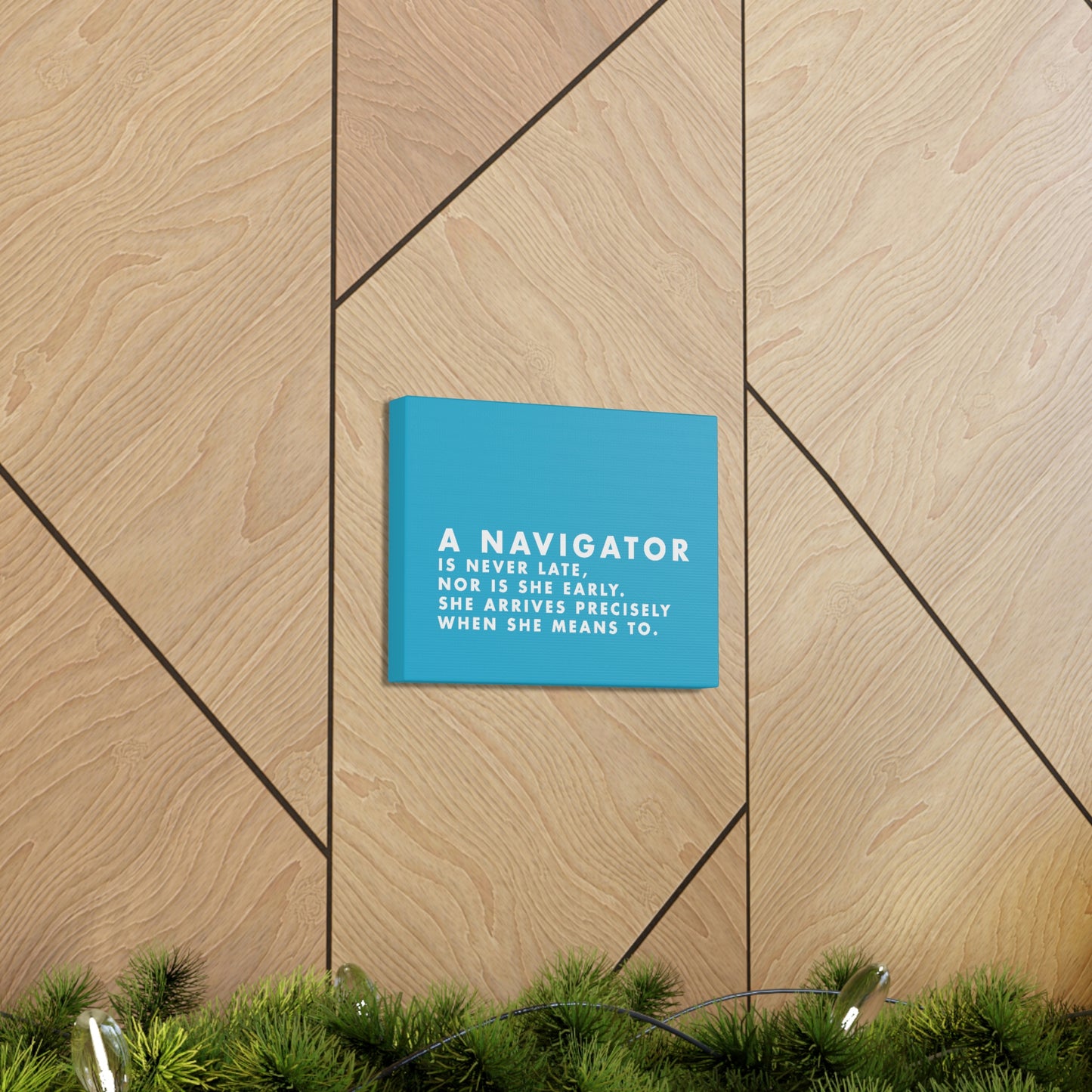 She-Navigator Canvas