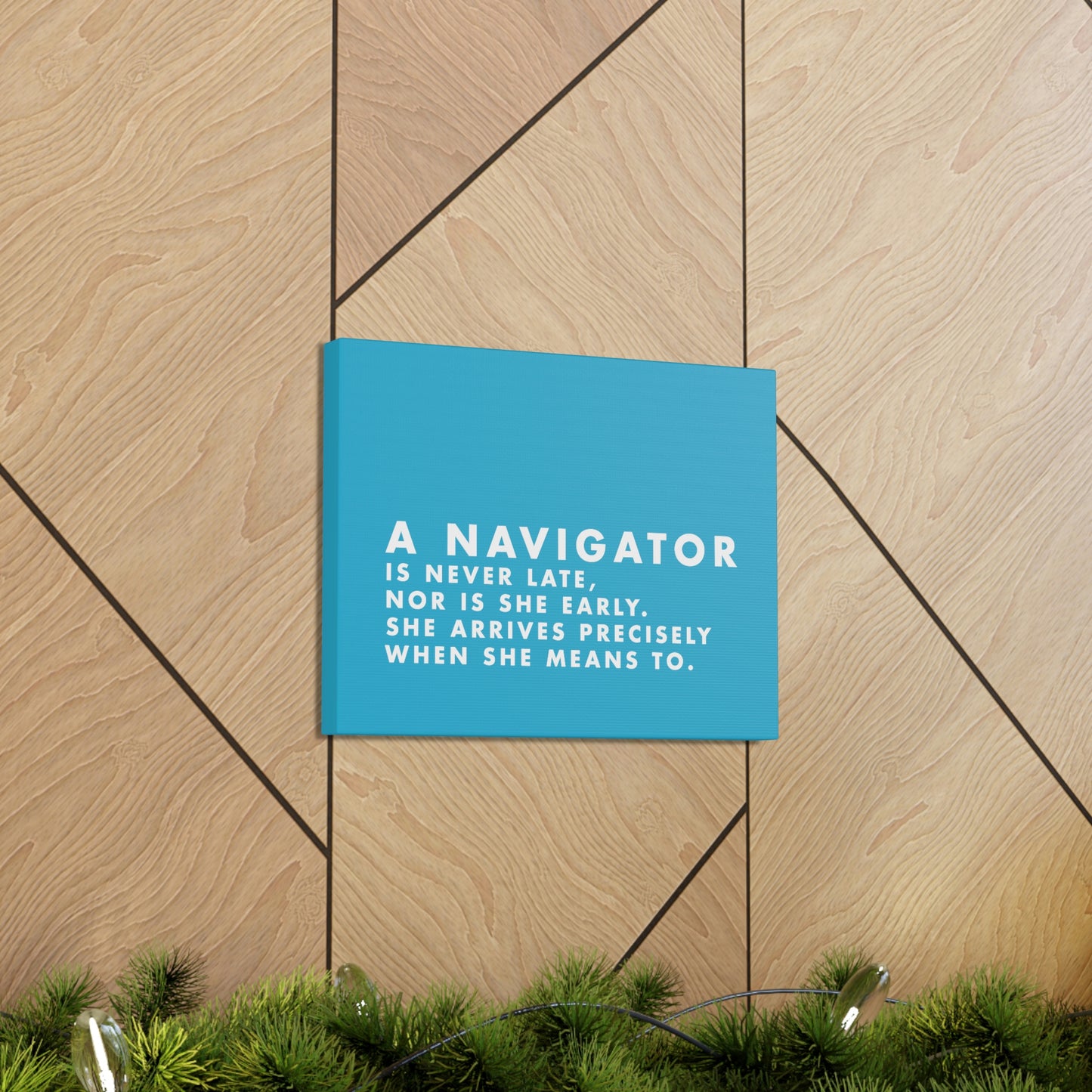 She-Navigator Canvas