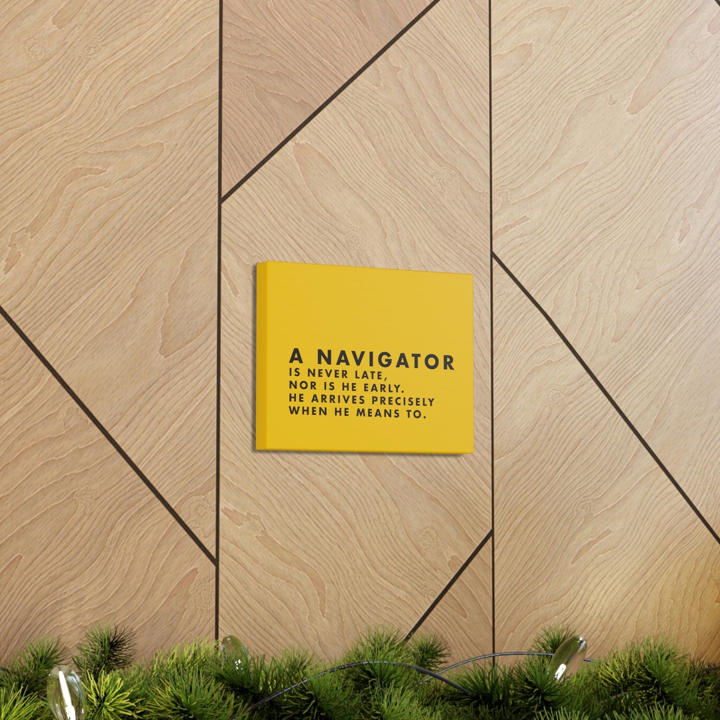 He-Navigator Canvas